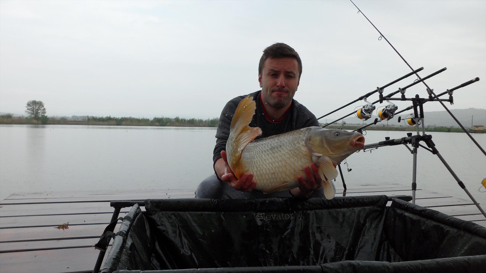 Pleasa1 30 aprilie - 1 mai 2014 - sam3140.JPG